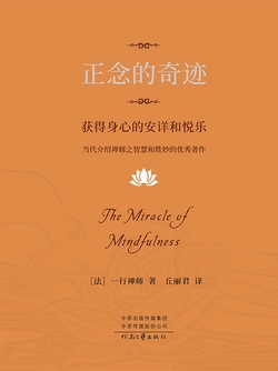 Cover of 正念的奇迹